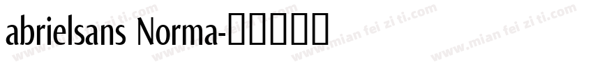 abrielsans Norma字体转换